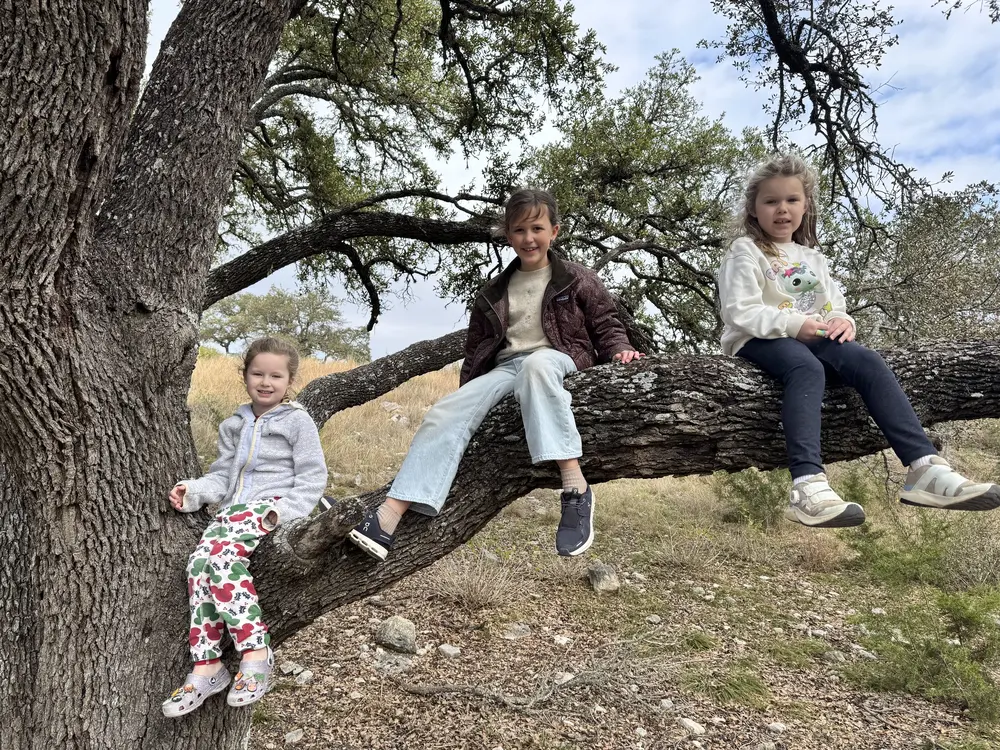 Three children sitting together on a large tree branch outdoors, smiling at the camera.